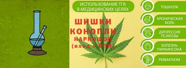 сатива Зеленодольск