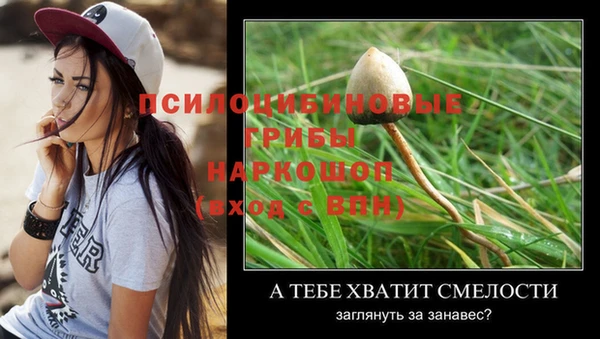 дмт Иннополис