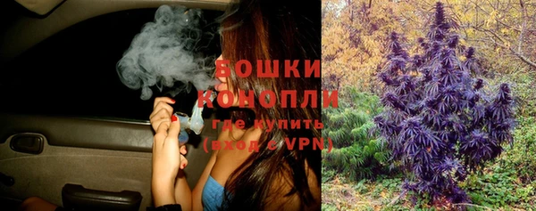 гидропоника Инта