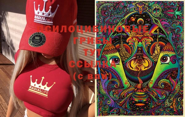 гидропоника Инта