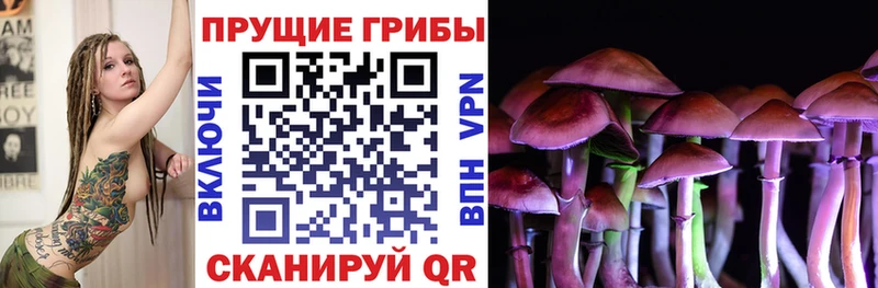 Купить закладки  Клинцы  Галлюциногенные грибы Psilocybe 